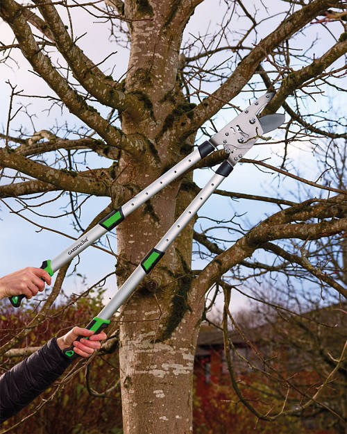 Lifestyle 1, Garden Loppers