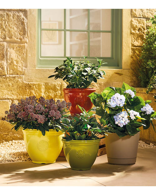 Lifestyle 1, 30cm Windsor Emblem Planter