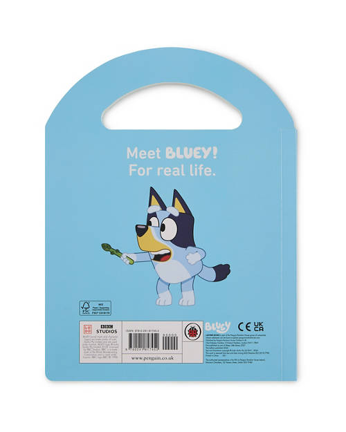 Back shot 1, Bluey Carry Handle Book