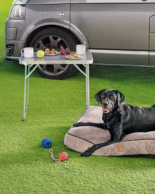 Lifestyle 1, Picnic Table