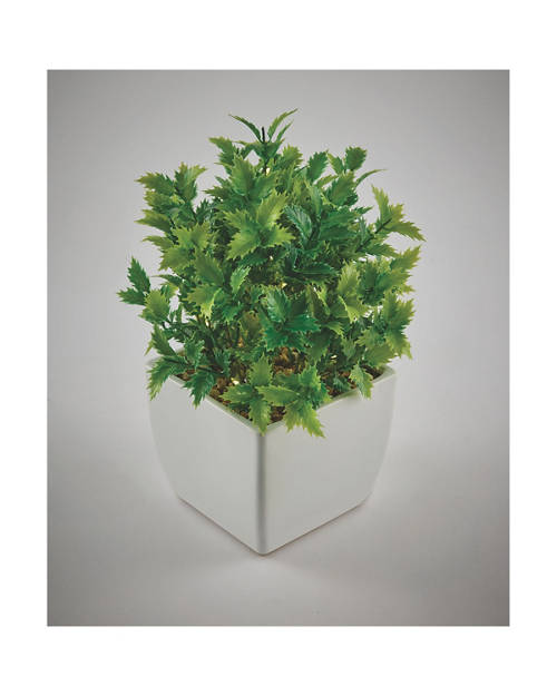 Details 1, LED Plant