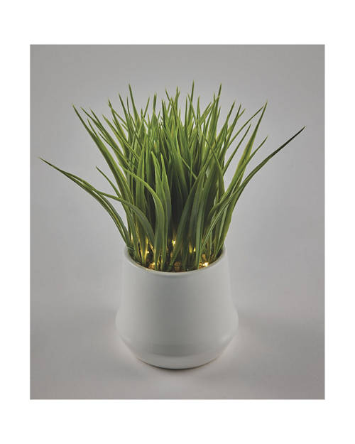 Details 1, LED Plant