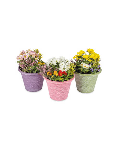 Springtime Planter