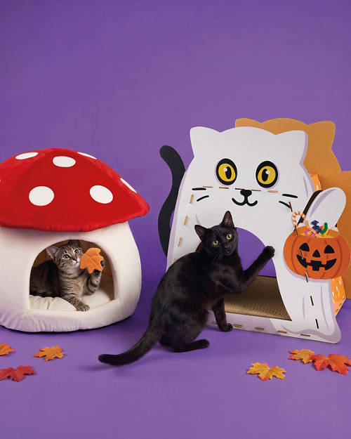 Lifestyle 1, Novelty Pet Bed