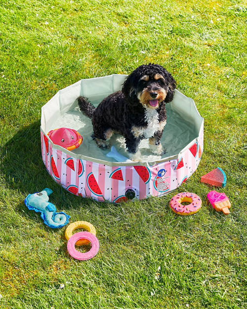 Lifestyle 1, Collapsible Pet Pool
