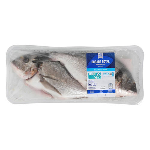 Vue de face 2, Dorade