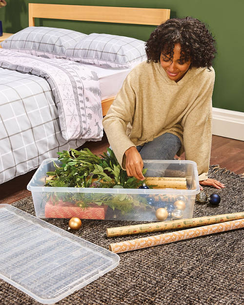 Lifestyle 1, 42L Underbed Storage Box