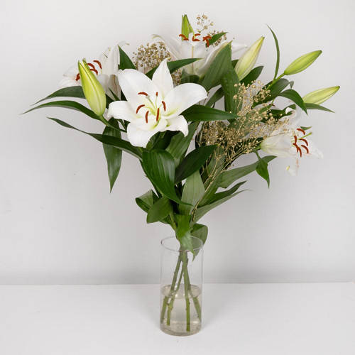  Product Image Front shot 02