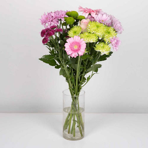  Product Image Front shot 02
