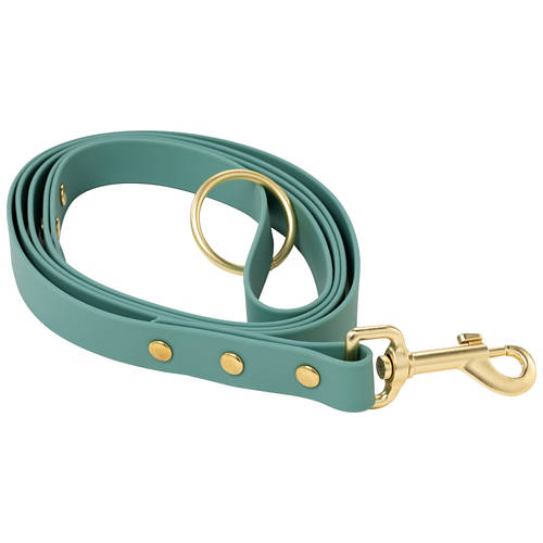 Vista frontale 1, Accessori per cani, guinzaglio, verde, taglia unica