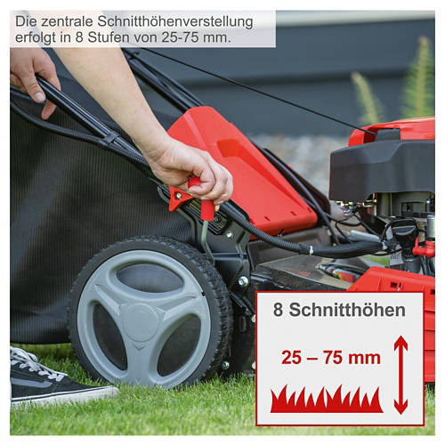 Details 3, Benzin-Rasenmäher MP150-46