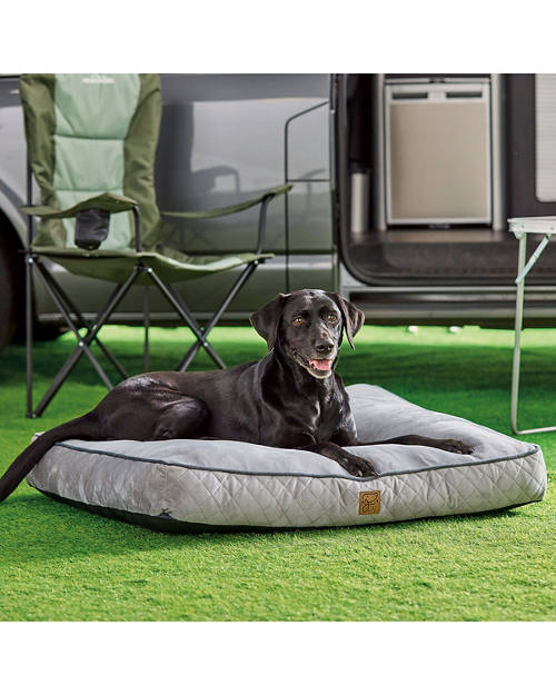 Lifestyle 1, Quilted Pet Mattress XL
