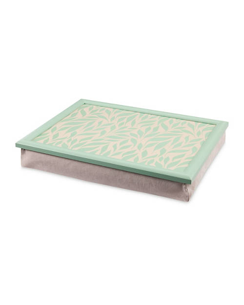 Front shot 2, Lap Tray