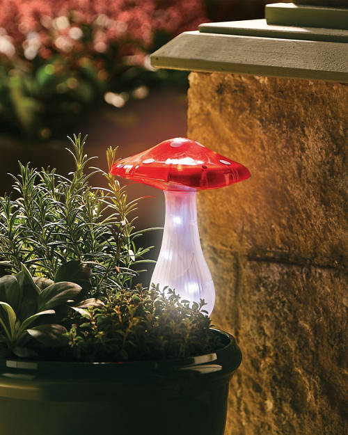Lifestyle 1, Solar Mushroom Stake Light