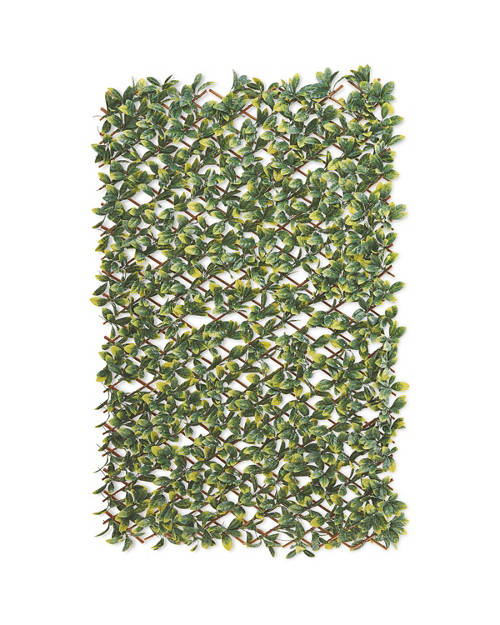  Product Image Front shot 02