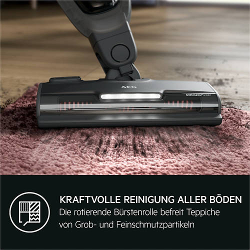 Details 3, Akkusauger 2in1