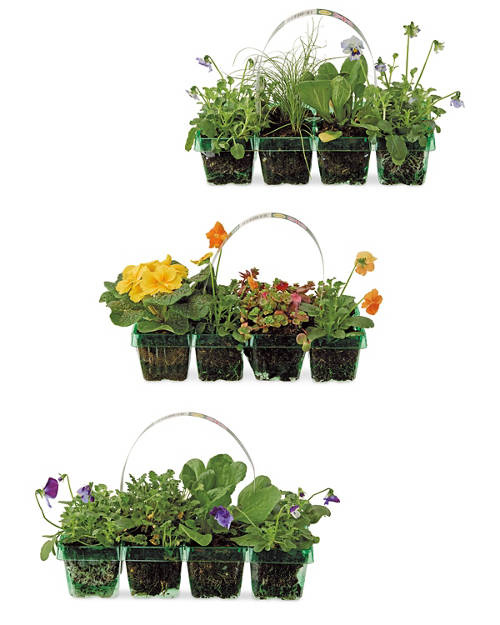 Group 1, Spring Mix 4 Pack