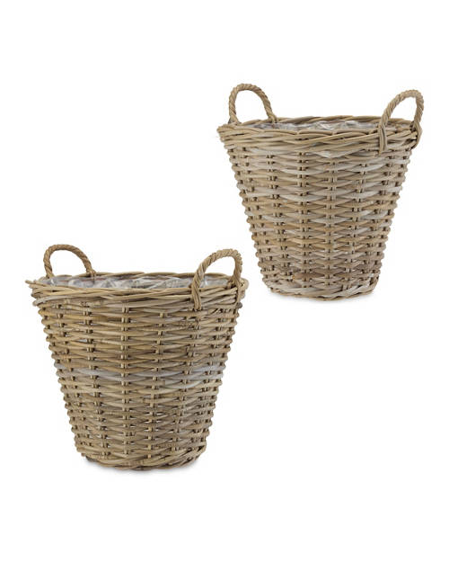 Group 1, Rattan Plant Pot