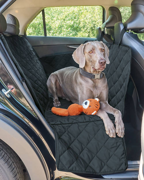 Lifestyle 1, Dogtopus