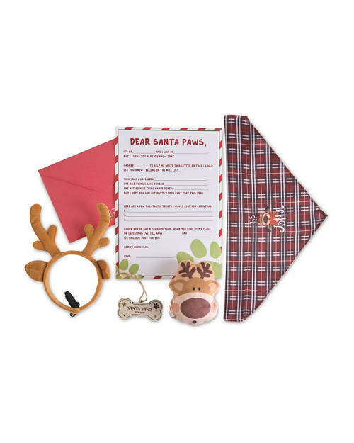 Front shot 2, Pet Christmas Box