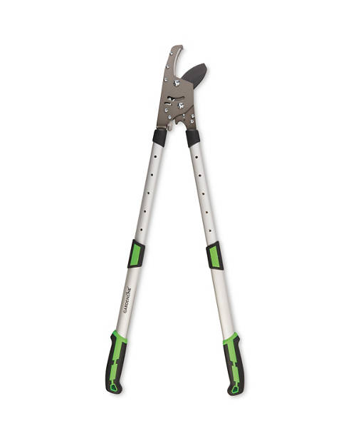 Details 1, Garden Loppers