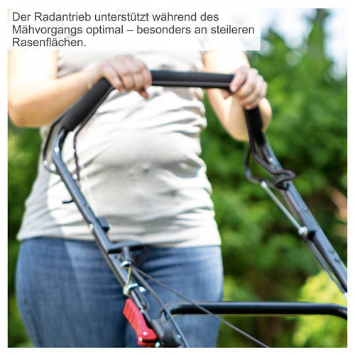 Details 3, Petrol Rasenmäher MS175-51