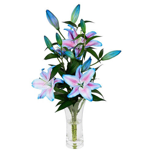 Front shot 2, Oriental Lily