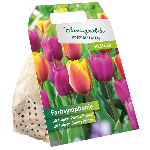 Details 3, Blumenzwiebel-Spezialitäten "Farbsymphonie"