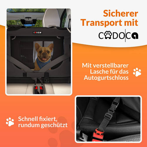 Details 5, Tiertransportbox L