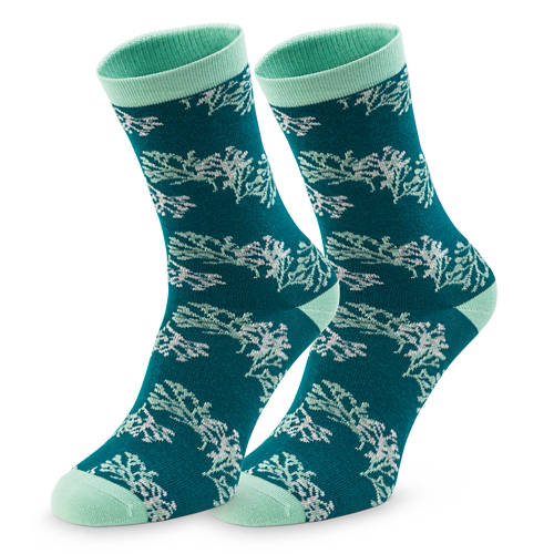 Podrobnosti 1, Ženske nogavice