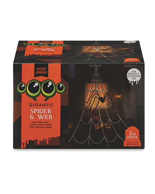 Front shot 2, Gigantic Halloween Spider & Web