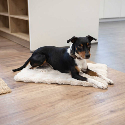 Front shot 3, Comfy Pet Crate Mat