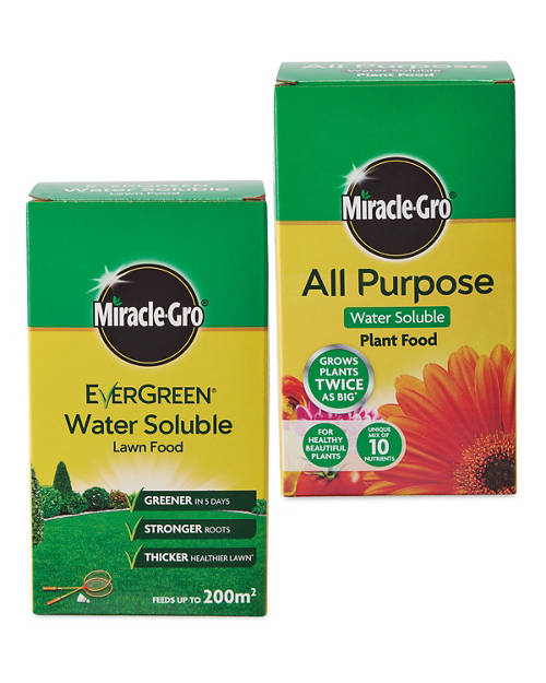  Product Image Group 01