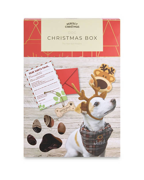 Front shot 1, Pet Christmas Box