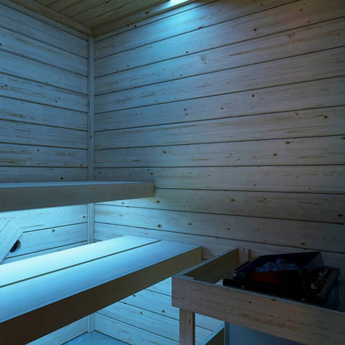 Details 2, Sauna mit Eckeinstieg