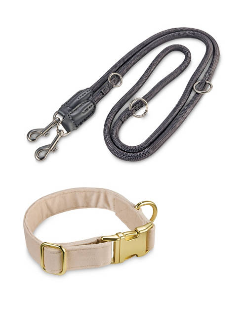Group 1, Dog Collar/Lead