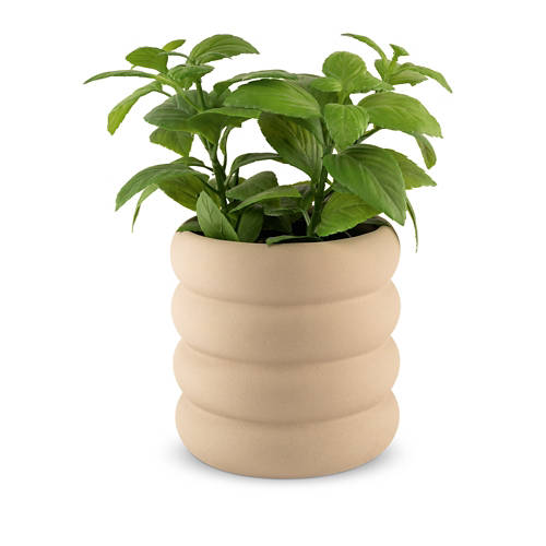 Podrobnosti 1, Cvetlični lonec