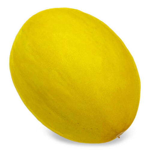 Honeydew Melon