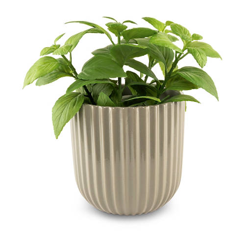 Podrobnosti 1, Cvetlični lonec