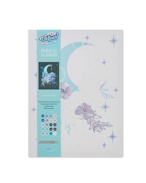 Details 1, Velvet Paint by Numbers