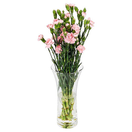 Front shot 3, Carnations