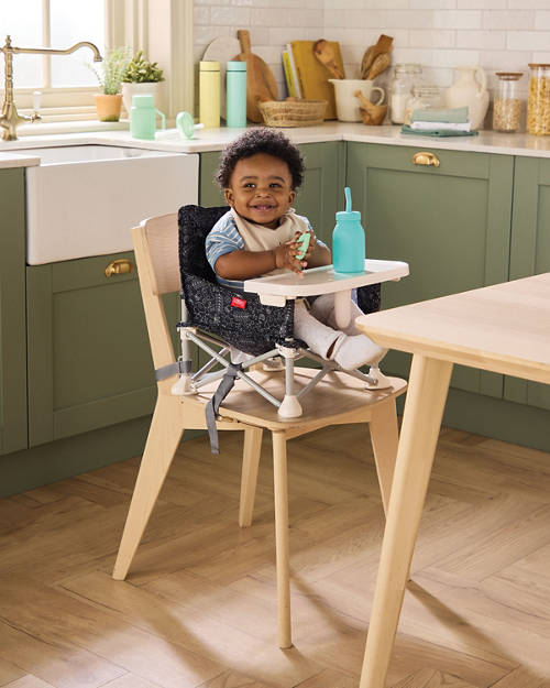 Lifestyle 1, 2 in 1 Baby Chair