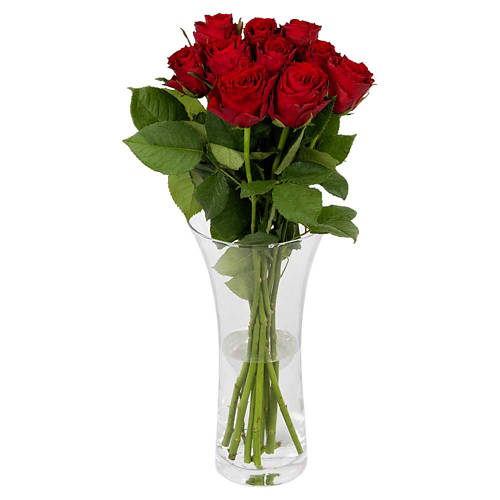 Front shot 4, Roses