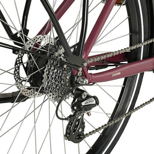 Details 3, Trekking E-Bike Damen Entdecker 2.3.