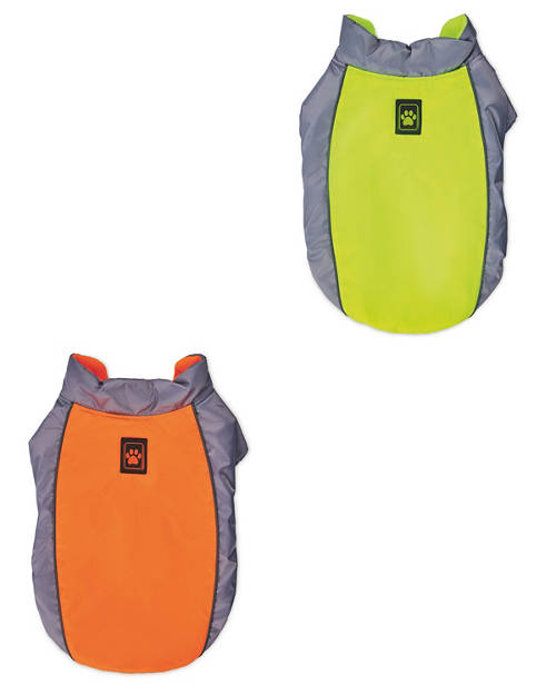 Group 1, Neon Dog Coat