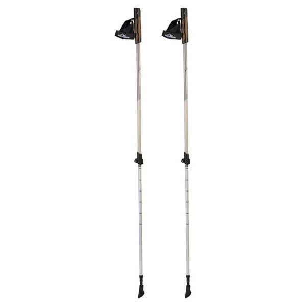 Nordic Walking Stöcke, Grau