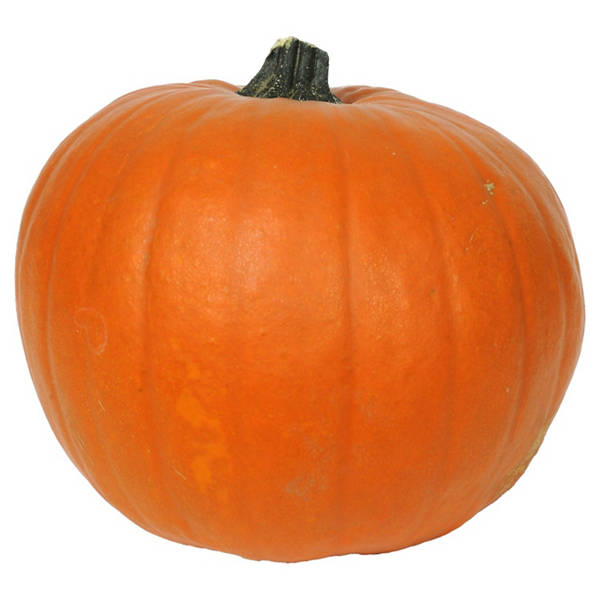 Halloween Schnitzkürbis