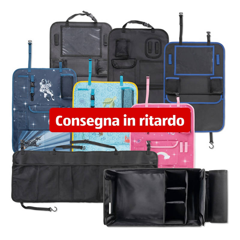 Organizer per auto