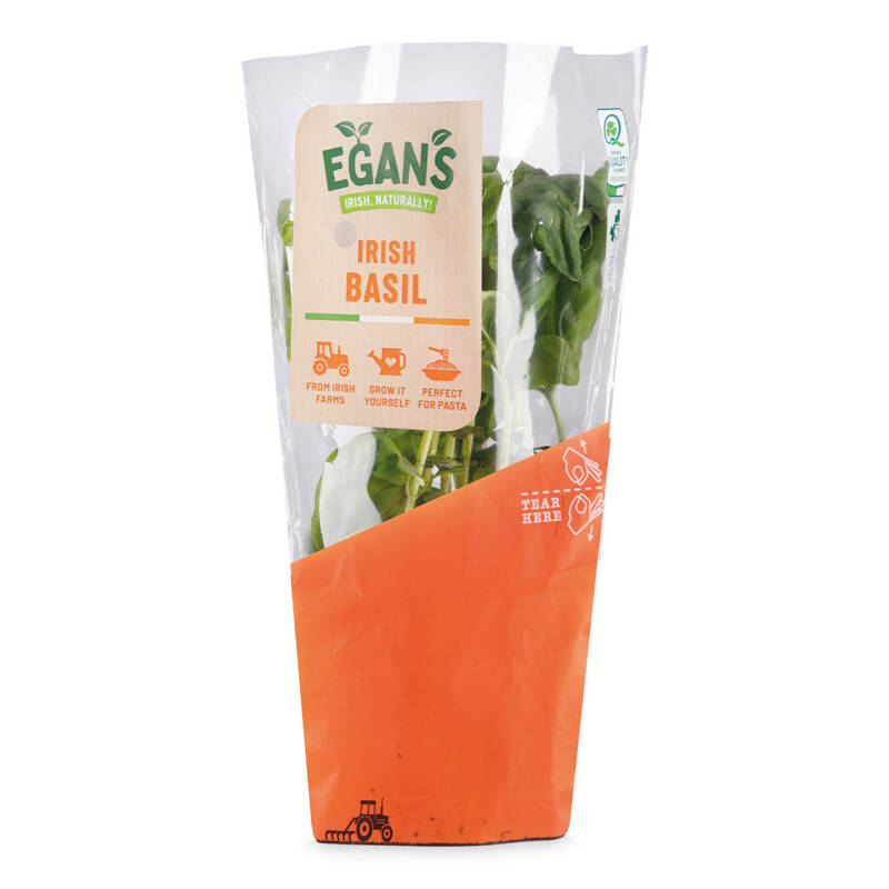 EGAN'S Potted Irish Basil 1 Each