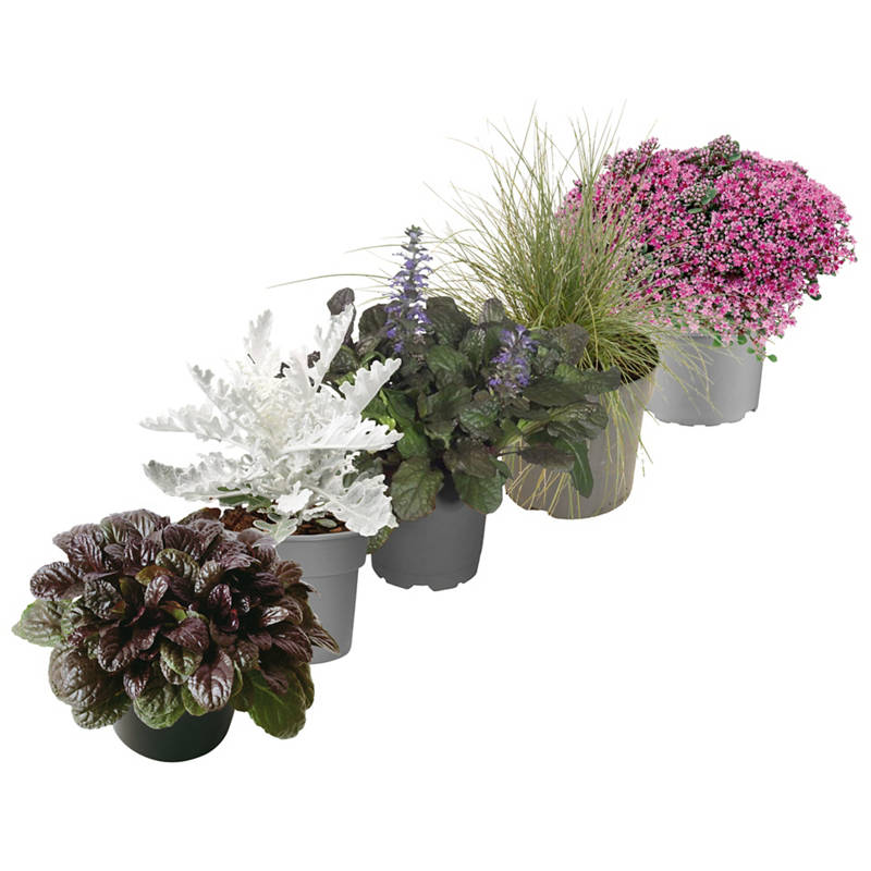 Decorazioni autunnali